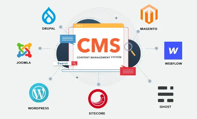 What is the Best CMS for business?