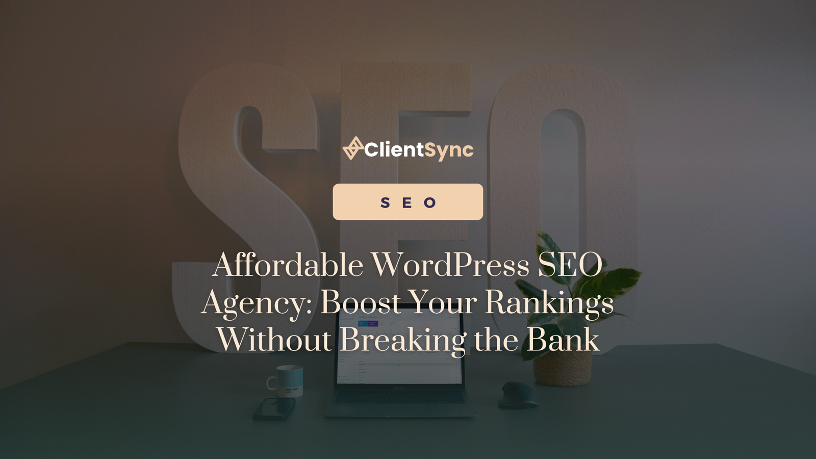 Affordable WordPress SEO Agency: Boost Your Rankings Without Breaking the Bank